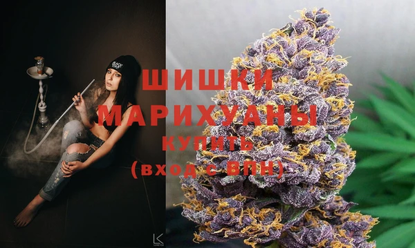 прущие крисы Заводоуковск
