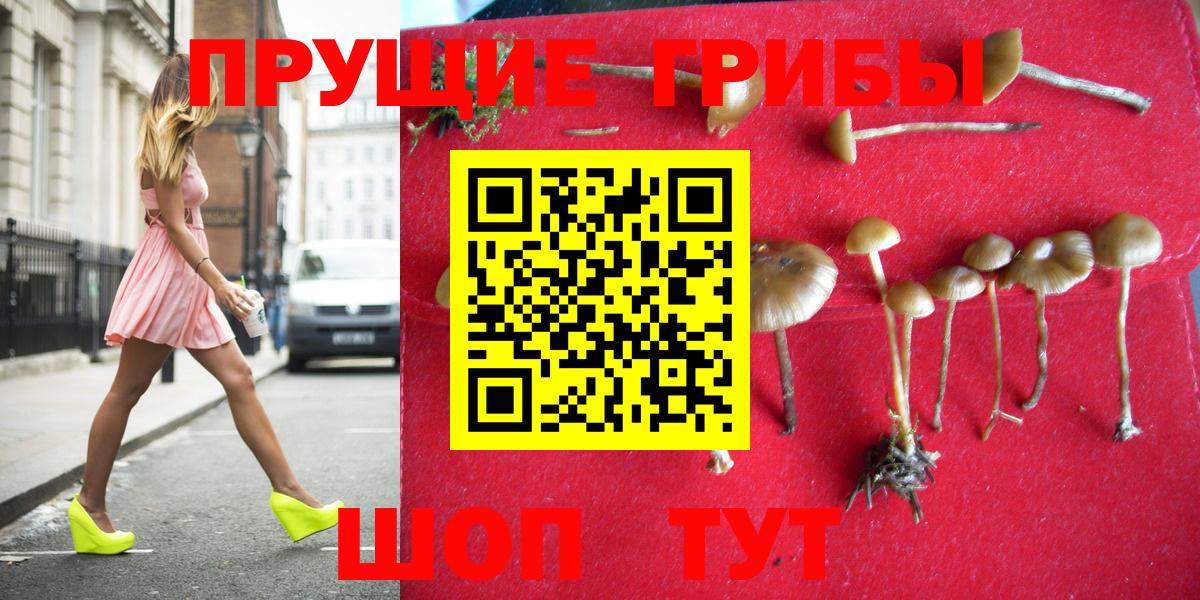 Кудымкар  Галлюциногенные грибы ЛСД  Вход с VPN 